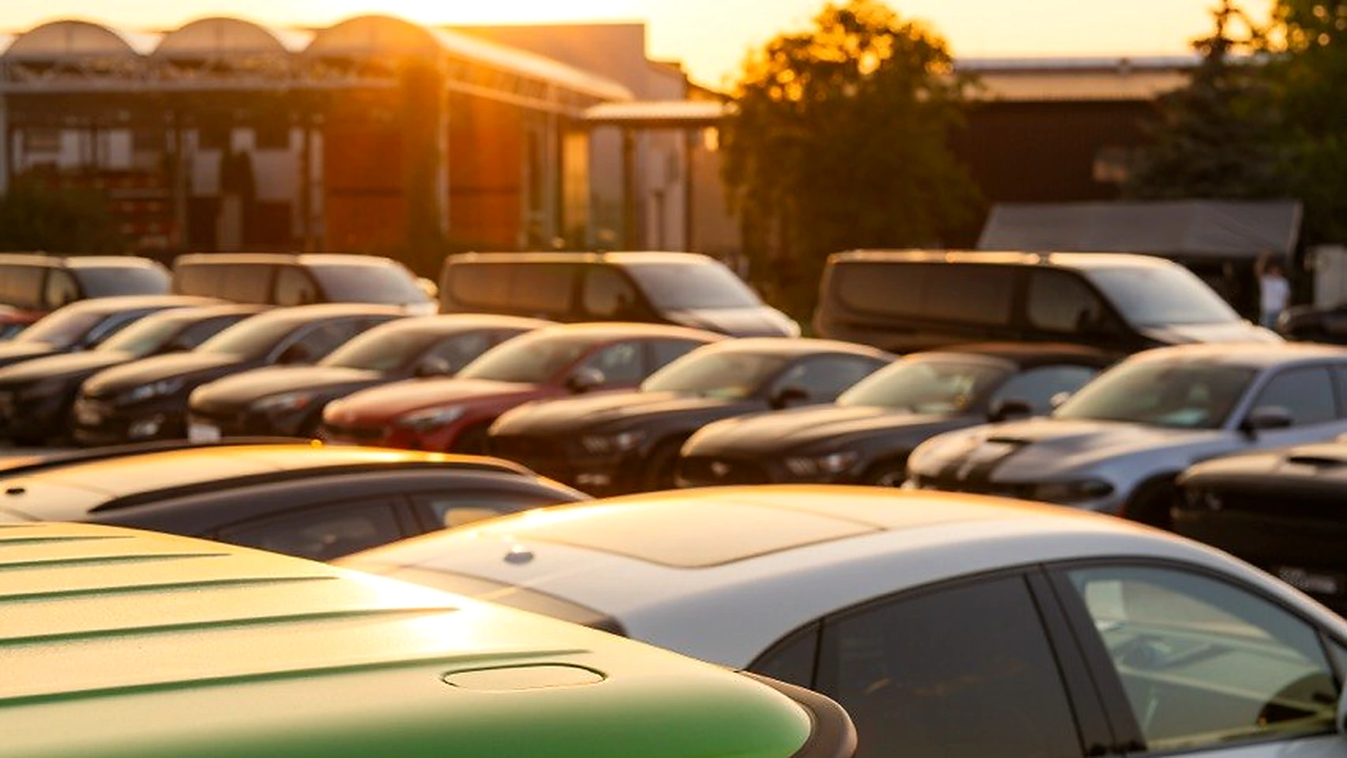 Cars Collection — samochody premium Warszawa